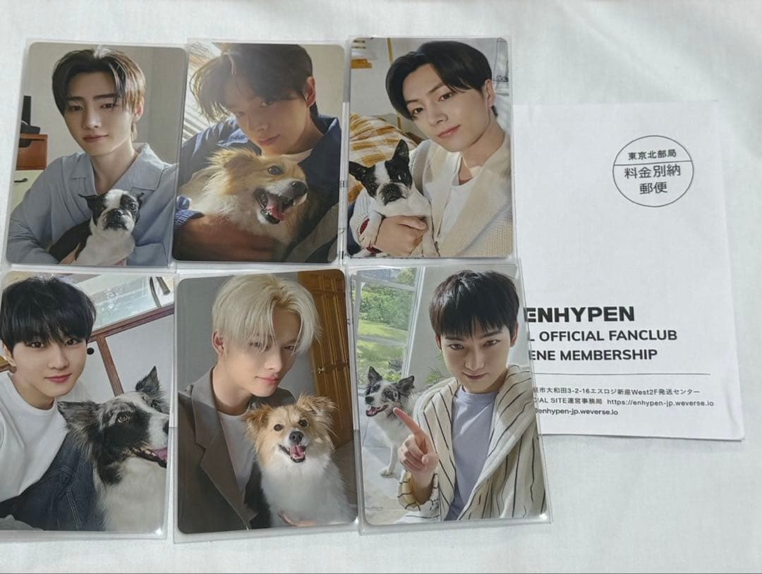 ENHYPEN FC アンケート特典 トレカ 2025 6人セット ENHYPEN FC限定 アンケートトレカ特典 エナプ コンプ 2025 - メルカリ
