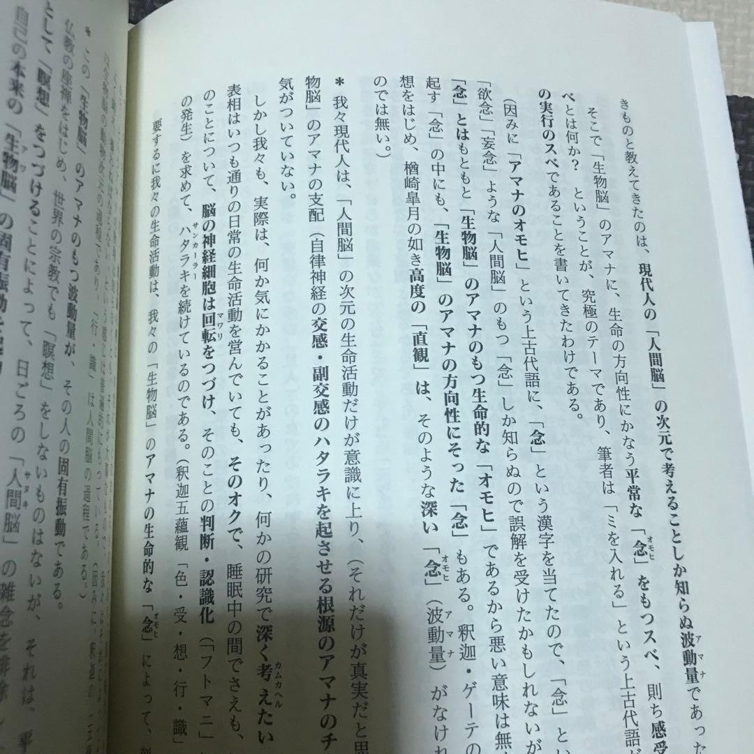 相似象学会誌　相似象　第１５号