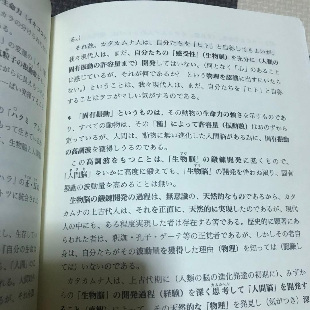 相似象学会誌　相似象　第１５号