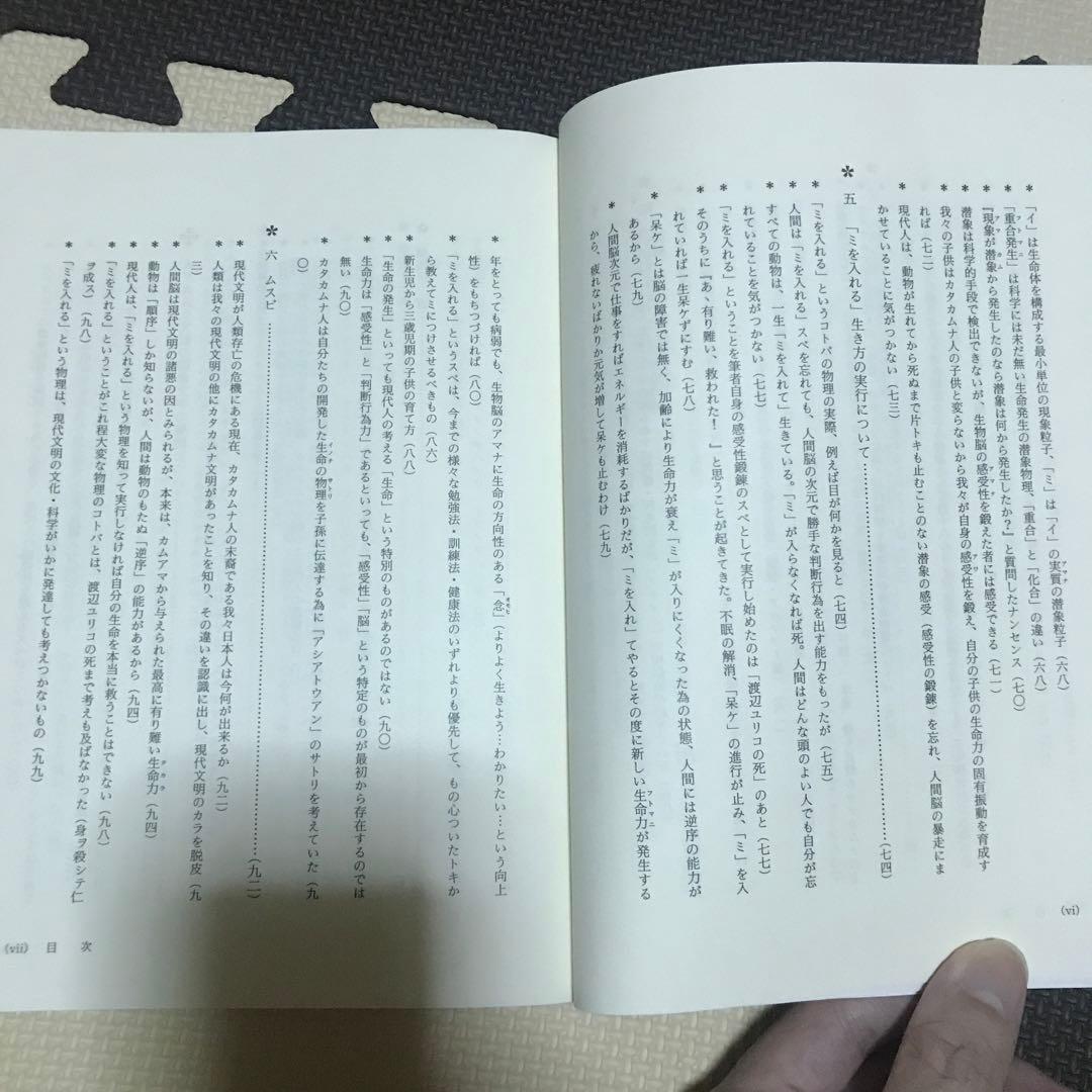 相似象学会誌　相似象　第１５号