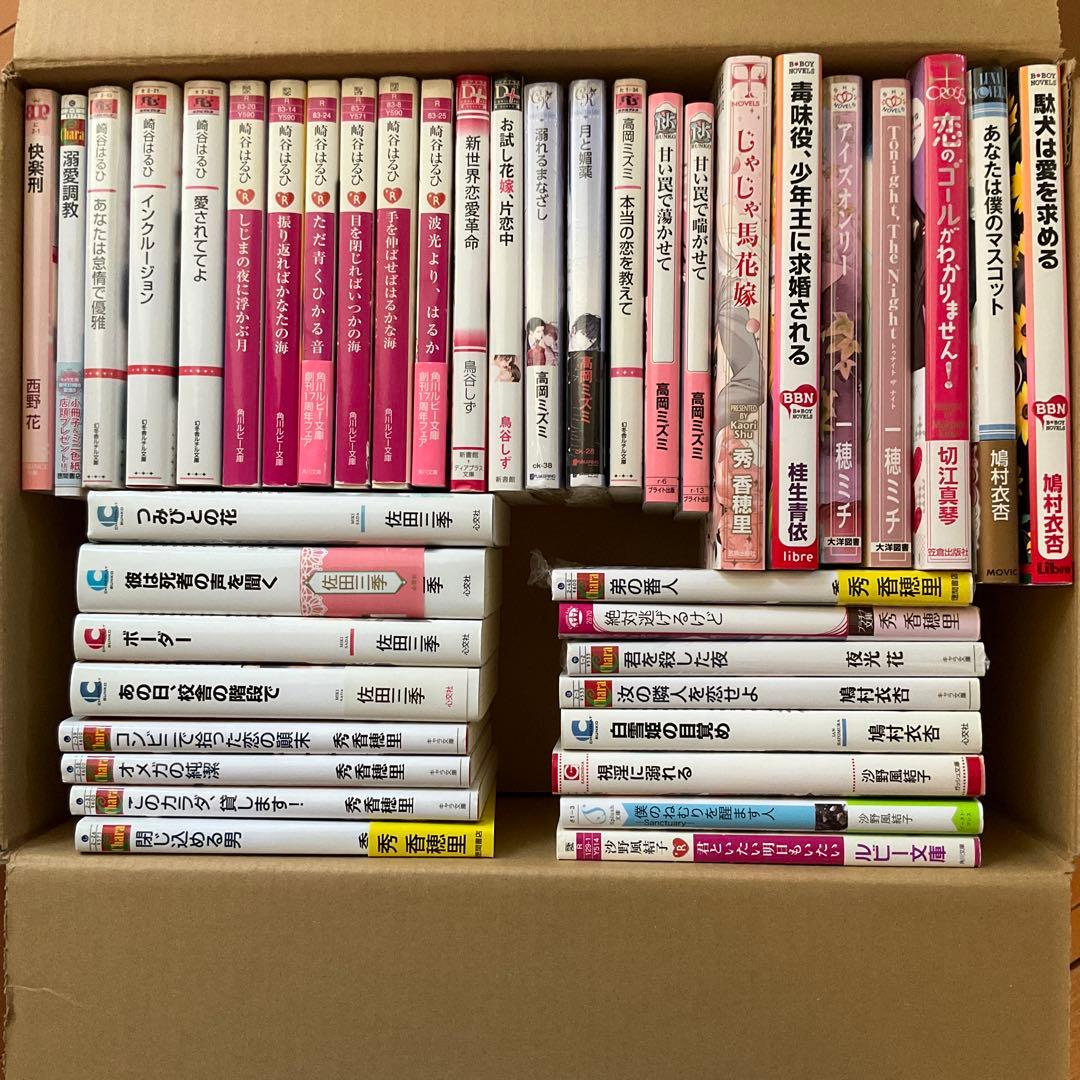 BL小説まとめ売り35冊 - メルカリ