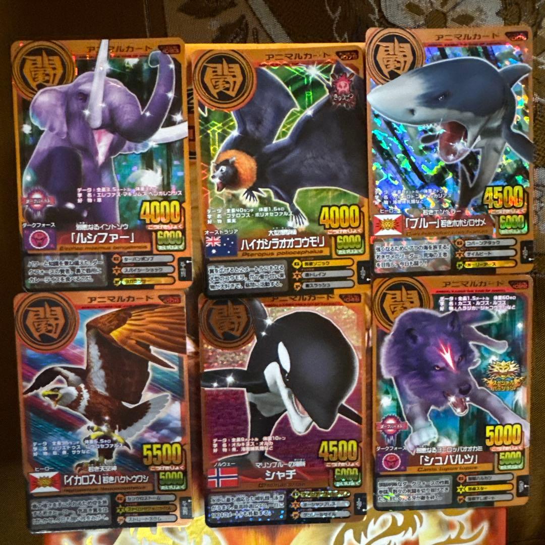 アニマルカイザー 14枚セット - メルカリ