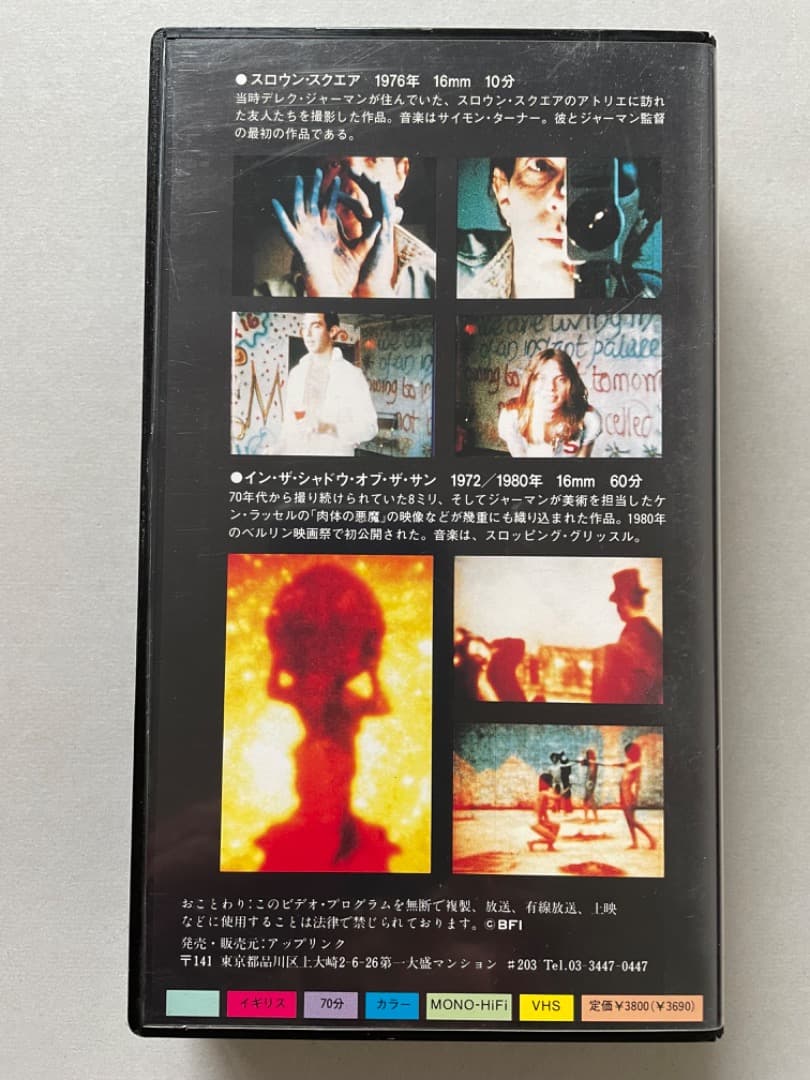 イン・ザ・シャドウ・オブ・ザ・サン デレク・ジャーマン VHS - メルカリ