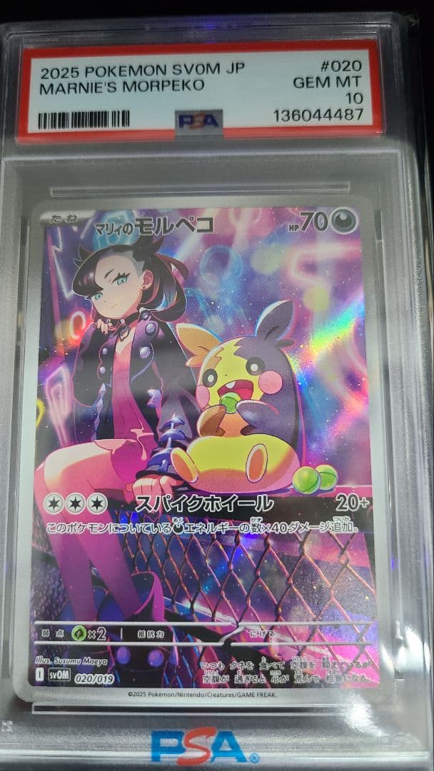 PSA10 マリィのモルペコ SVOM スターターセットex マリィのモルペコ