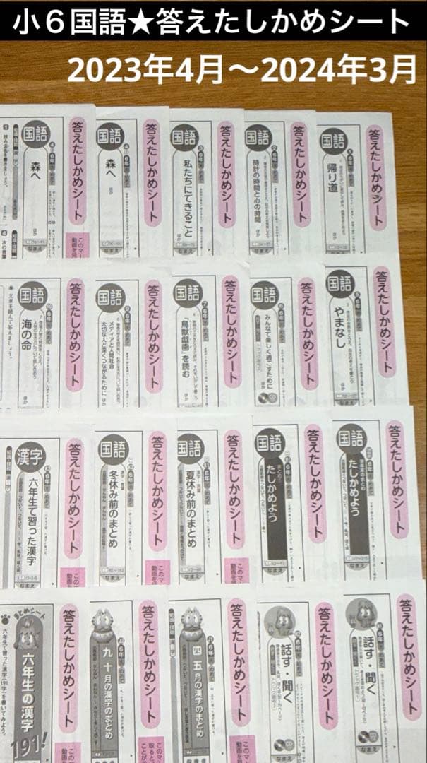 光文書院★小学6年　小6 国語カラーテスト　答えたしかめシート２０枚　令和５年 小学校6年生 国語カラーテスト光文書院の答えたしかめシート 六年 小6