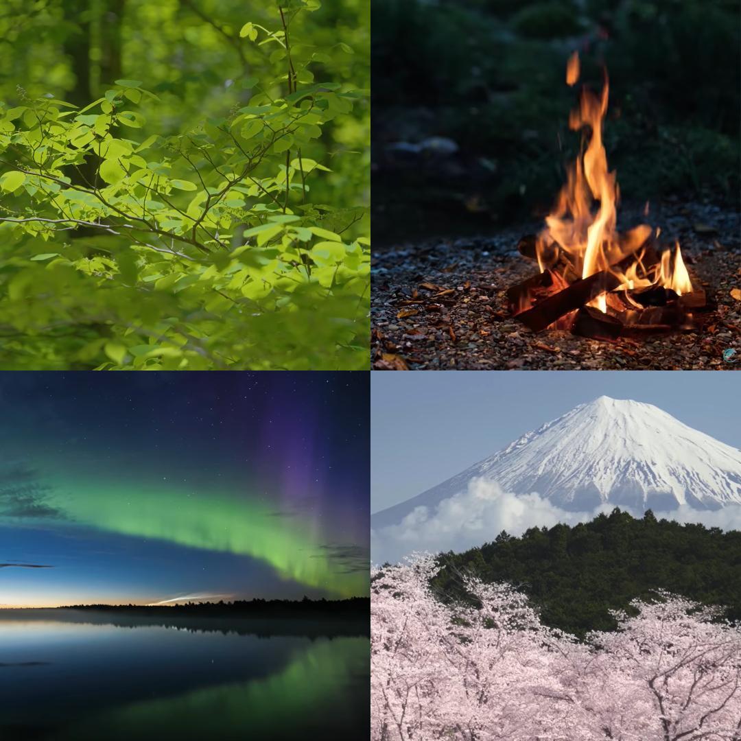 第8世代DynabookAZ65/GG i7-8550U SSD480GM16G - メルカリ