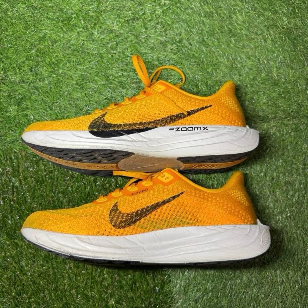 Nike ペガサスプラス メンズ ランニングシューズ 26.5cm