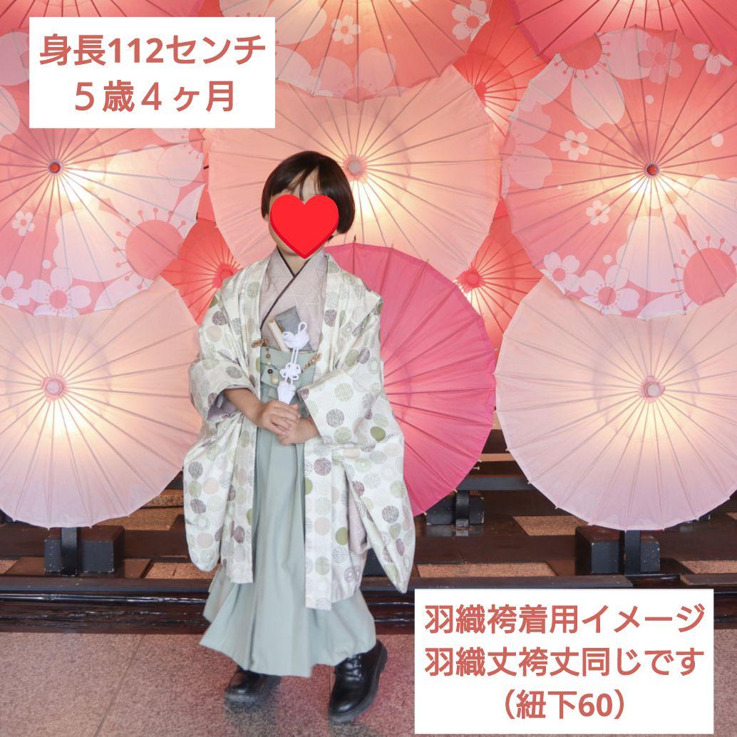 5歳 ウィリアムモリスアイリス羽織と本格的袴、着物のセット