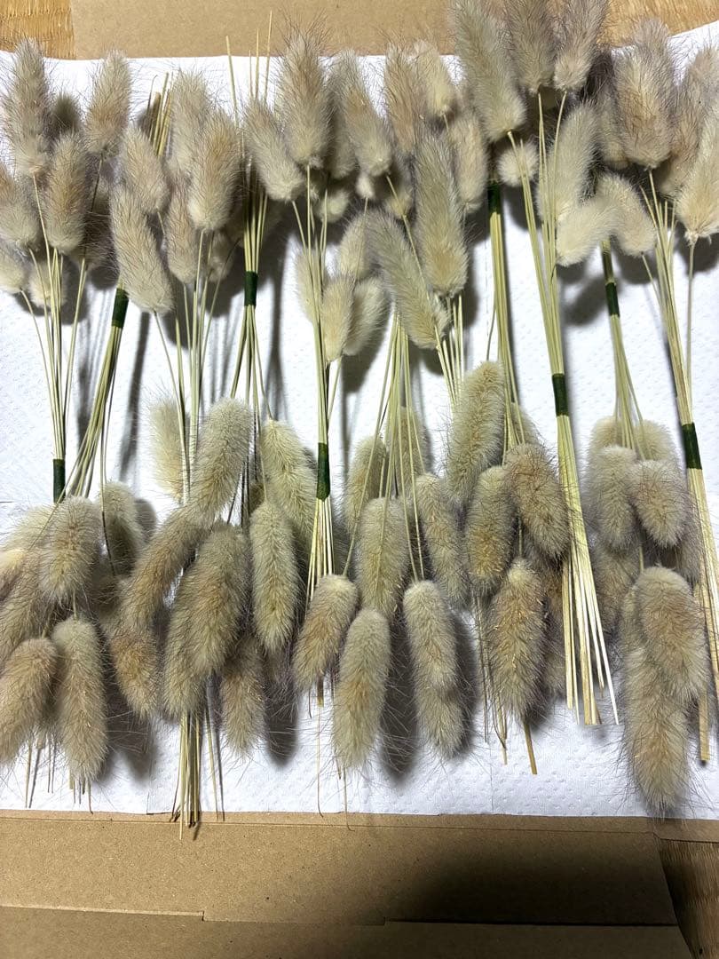 ドライフラワー ラグラスオバタス120本 他オマケ - メルカリ