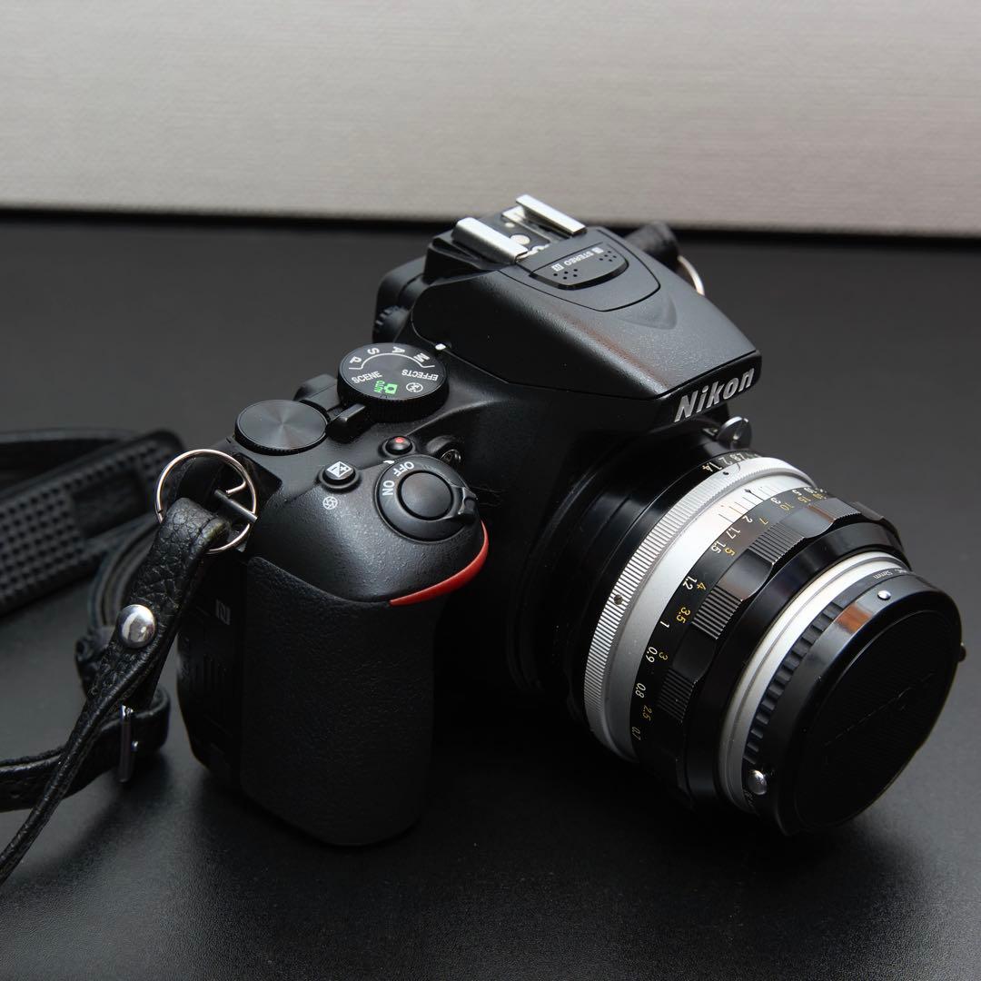 値下!【美品】Nikon D5600 標準レンズ/望遠レンズ/オールドレンズ