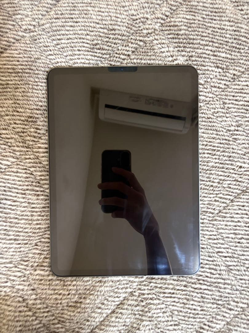 ジャンク品】iPad pro 11インチ 第1世代 WiFiモデル 256GB - メルカリ