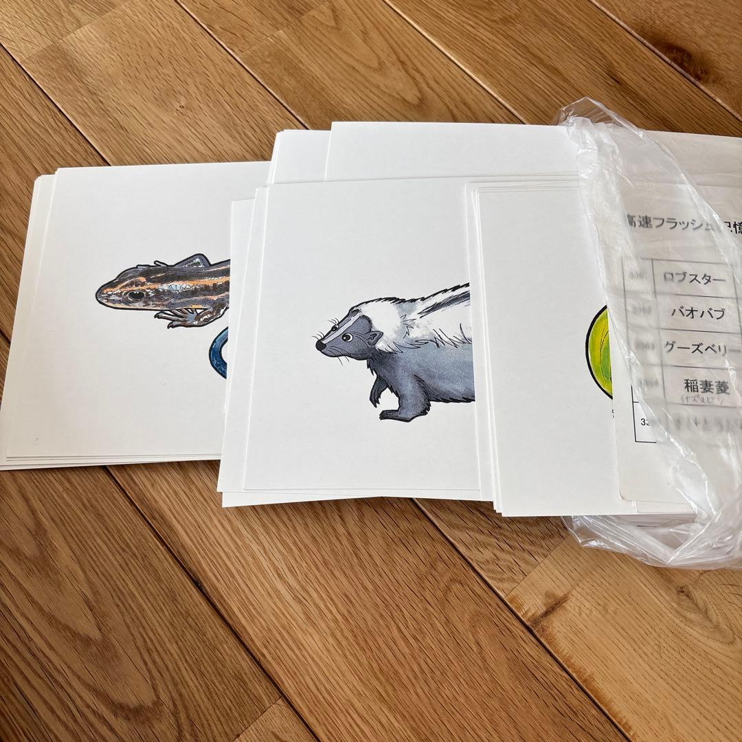 七田式 高速フラッシュ記憶 CD - メルカリ