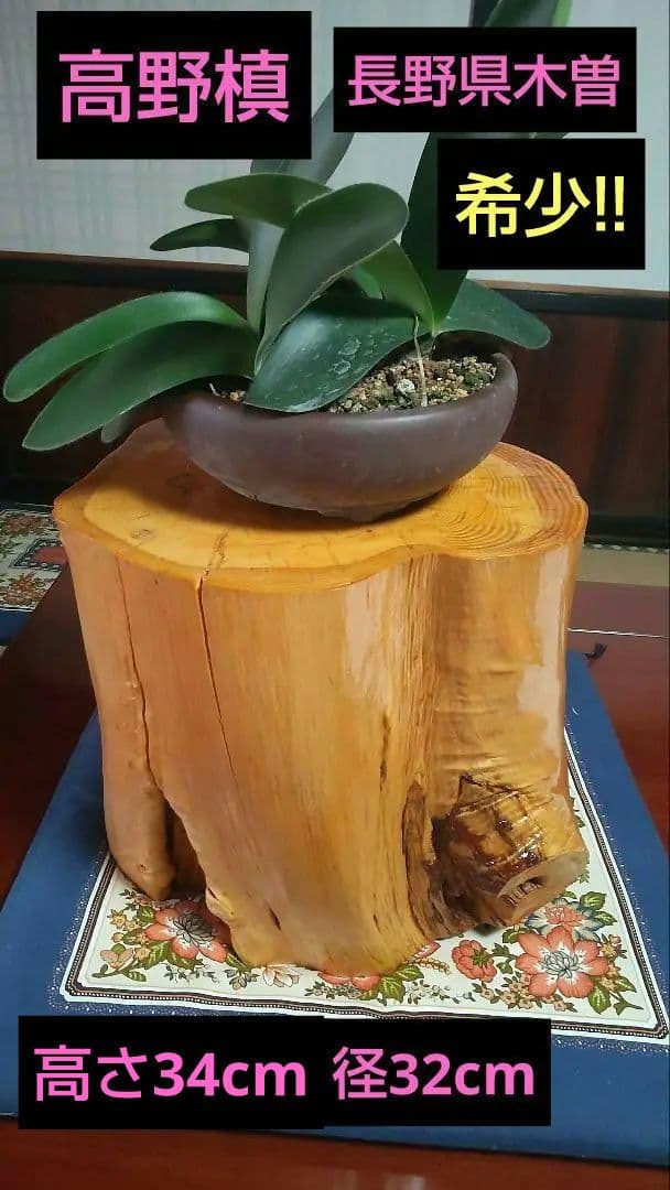 高野槙、丸太飾り台、希少！ - メルカリ