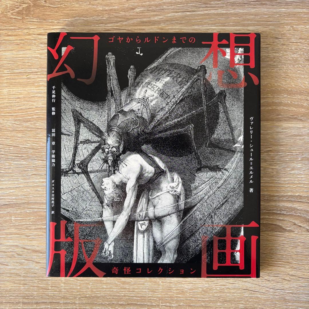 幻想版画 ゴヤからルドンまでの奇怪コレクション 81820jmUYmL._AC_UF1000,