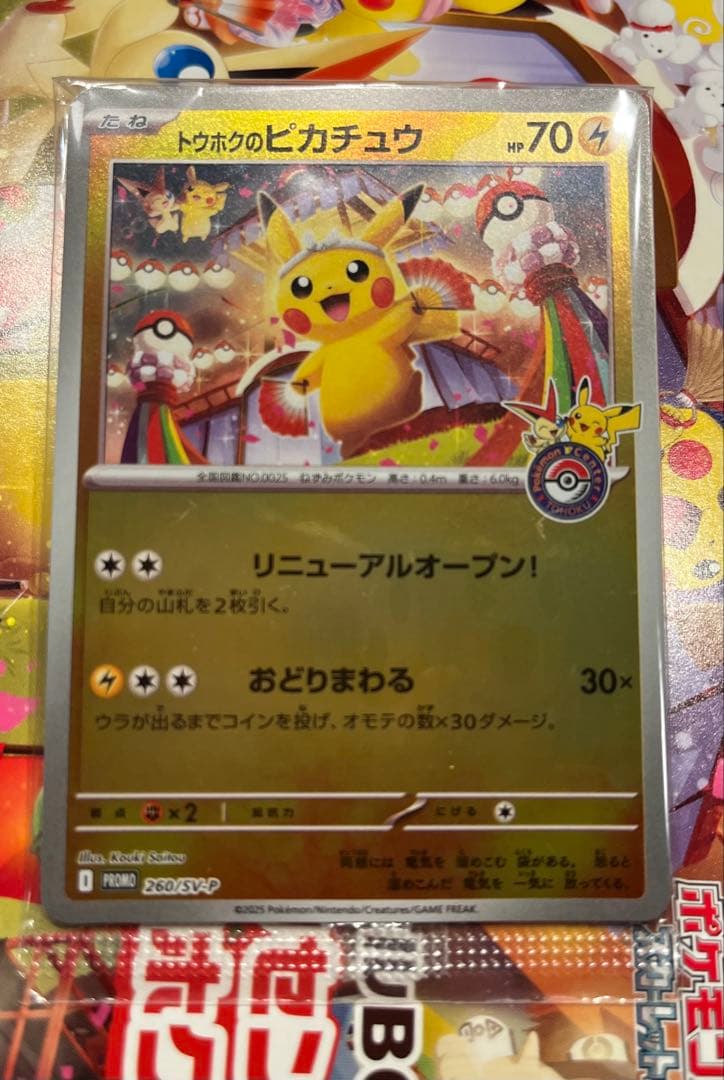 AGRIVERDEONLINE-トウホクのピカチュウ ポケモンセンタートウホク