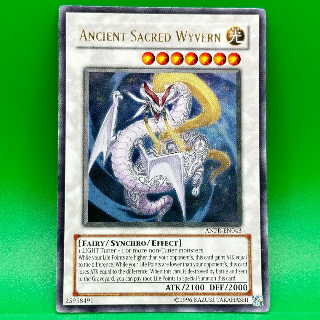 遊戯王 英語 エンシェント・ホーリー・ワイバーン ANPR レリーフ 海外