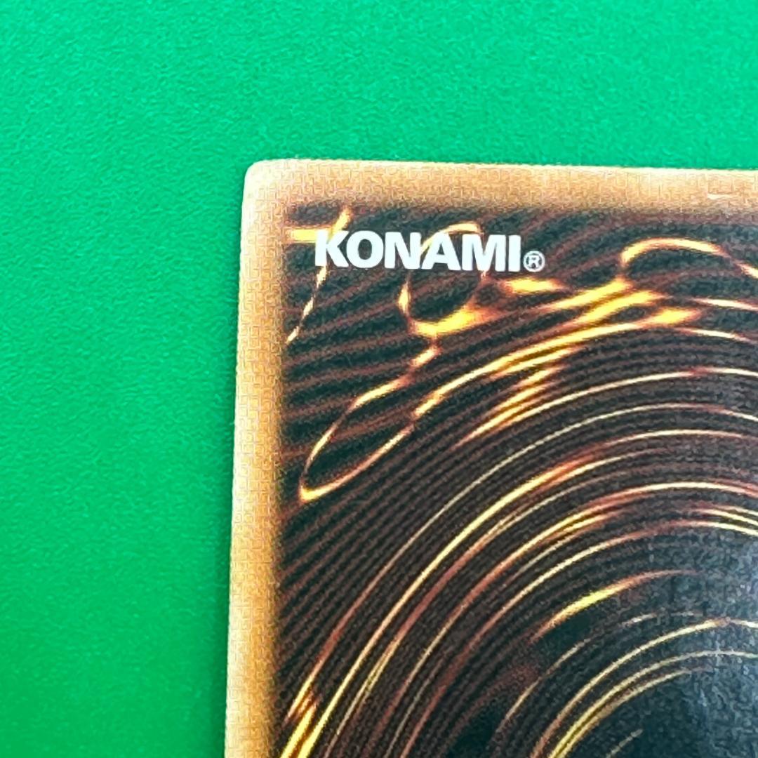 遊戯王 英語 エンシェント・ホーリー・ワイバーン ANPR レリーフ 海外