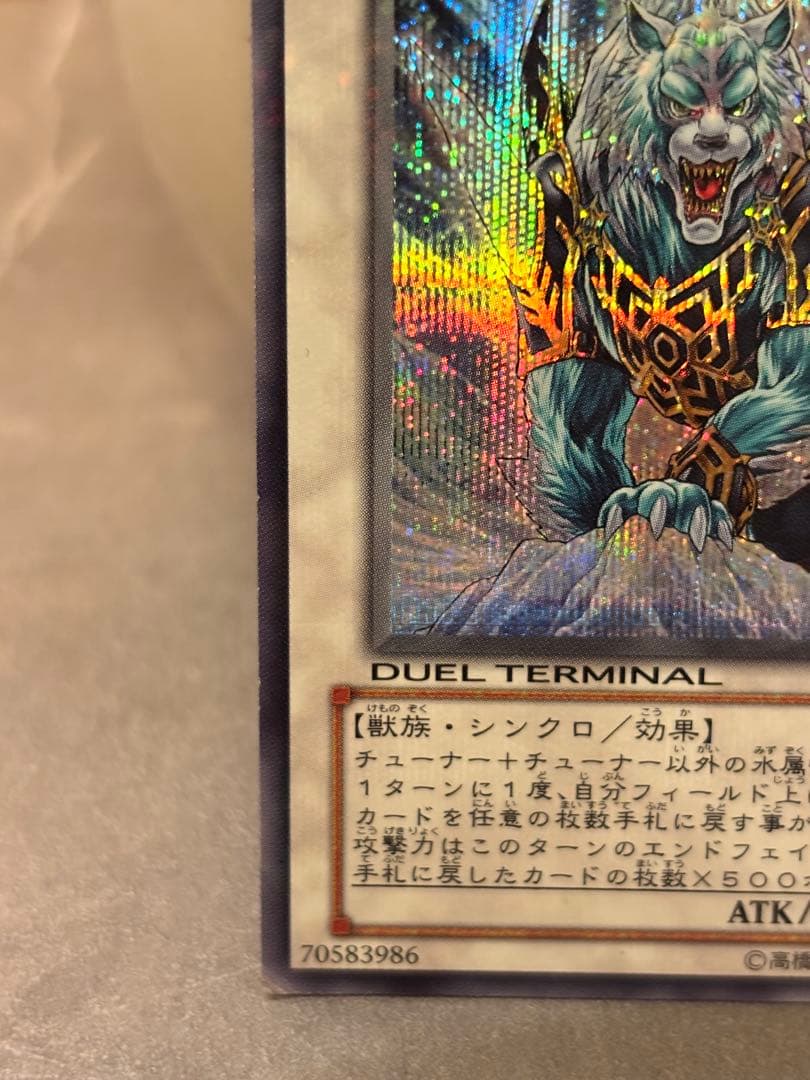 遊戯王デュエルターミナル】氷結界の虎王ドゥローレン(引退品) - メルカリ