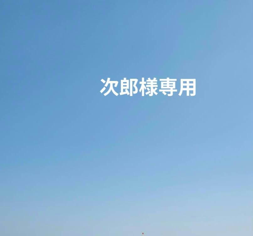 ホタルブクロ 白 抜き苗 大株 大2株 小3株 宿根草 ホワイトガーデン