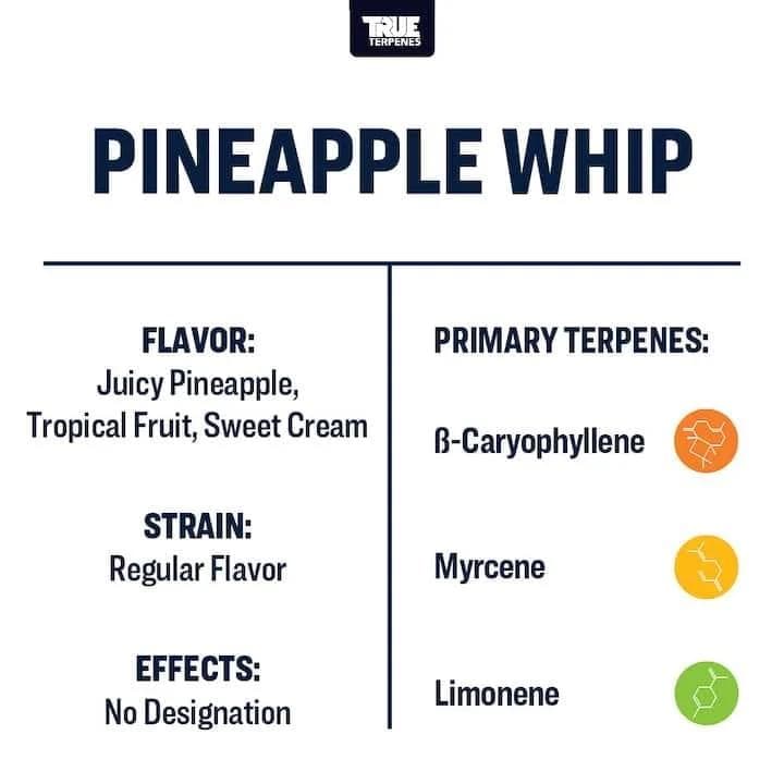 TRUE テルペン 香料 CBD CBN CBG 5ml パイナップルホイップ