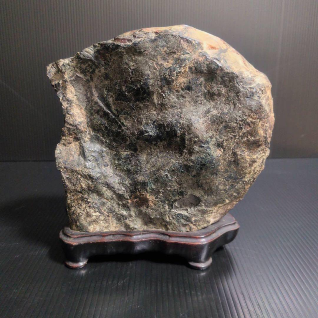 【大型】天然 菊花石 鑑賞石 台座付 22cm 5.8kg 一輪大菊 置物 水石