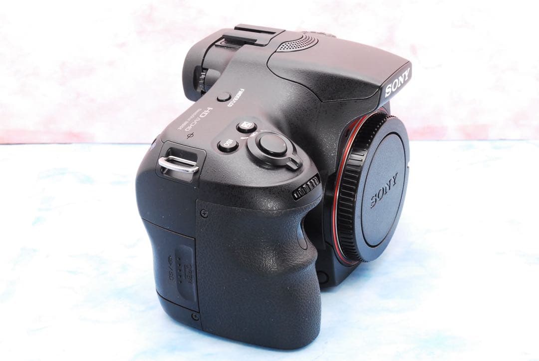 ソニー α65☆レンズ交換不要の高倍率レンズ☆一眼レフカメラ☆ショット