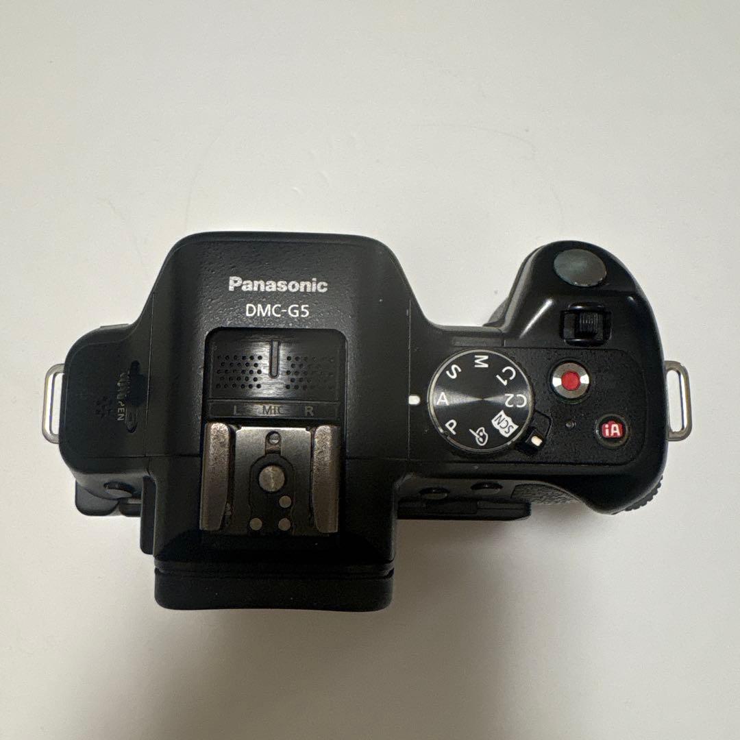 LUMIX DMC-G5 ミラーレス一眼 バッテリーチャージャー付き