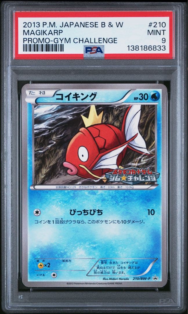 PSA9　コイキング PROMO BW-Pプロモカード 210/BW-P 2026年最新】210/BW-P コイキングの人気アイテム - メルカリ