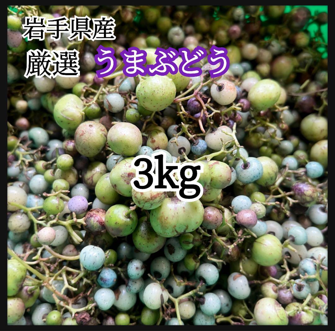 岩手県産 うまぶどう 3kg 冷凍クール便 薬膳 うまぶどう酒