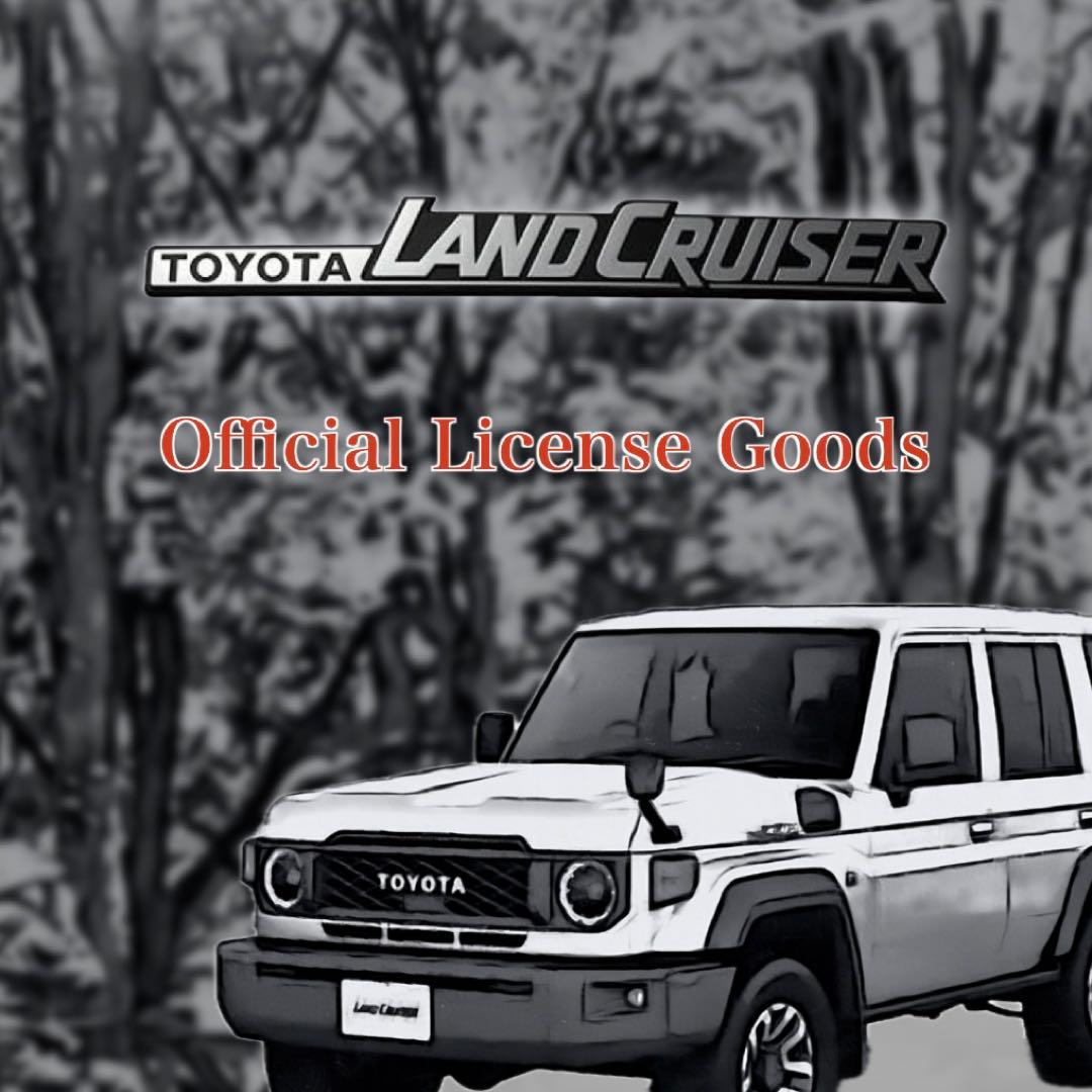 限定品】ランドクルーザー コンテナBOX S （2個セット） ドンキ限定