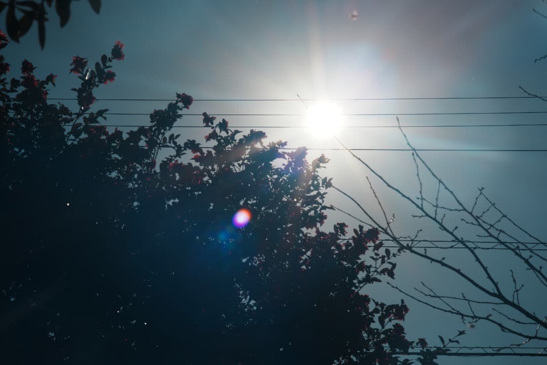 整備＆テスト済】Nikon SERIES E 100mm F2.8 873 - メルカリ