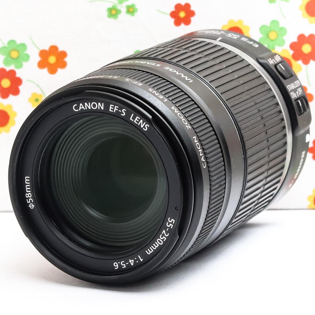 キャノン Canon EF-S 55-250mm IS☆お手軽望遠レンズ♪ - メルカリ