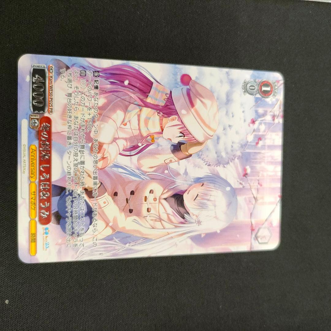 冬の到来 しろは＆うみ - メルカリ