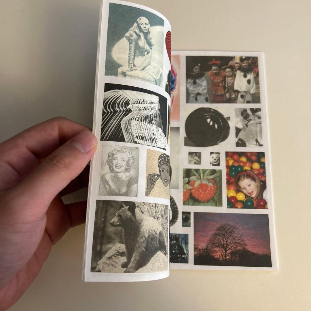 FUCK THIS LIFE / DAVE innen zine 美品 - メルカリ