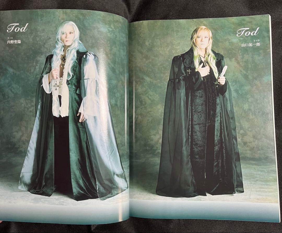 東宝ミュージカル エリザベート 改訂版 ピアノ弾き語り 楽譜 一路真輝