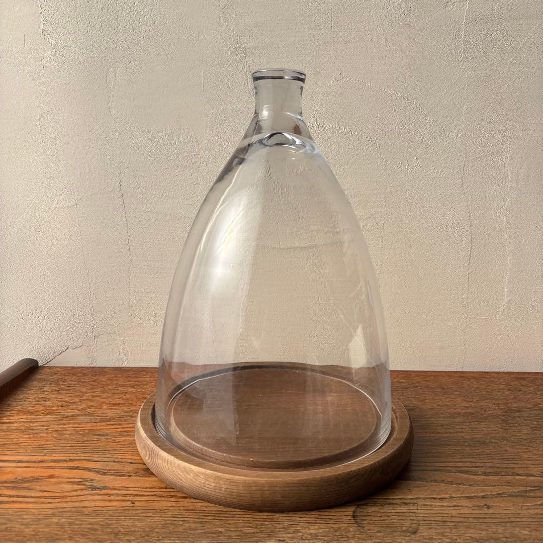 ダルトン ガラスドーム ガラスクローシュ 木製台座 ディスプレイ