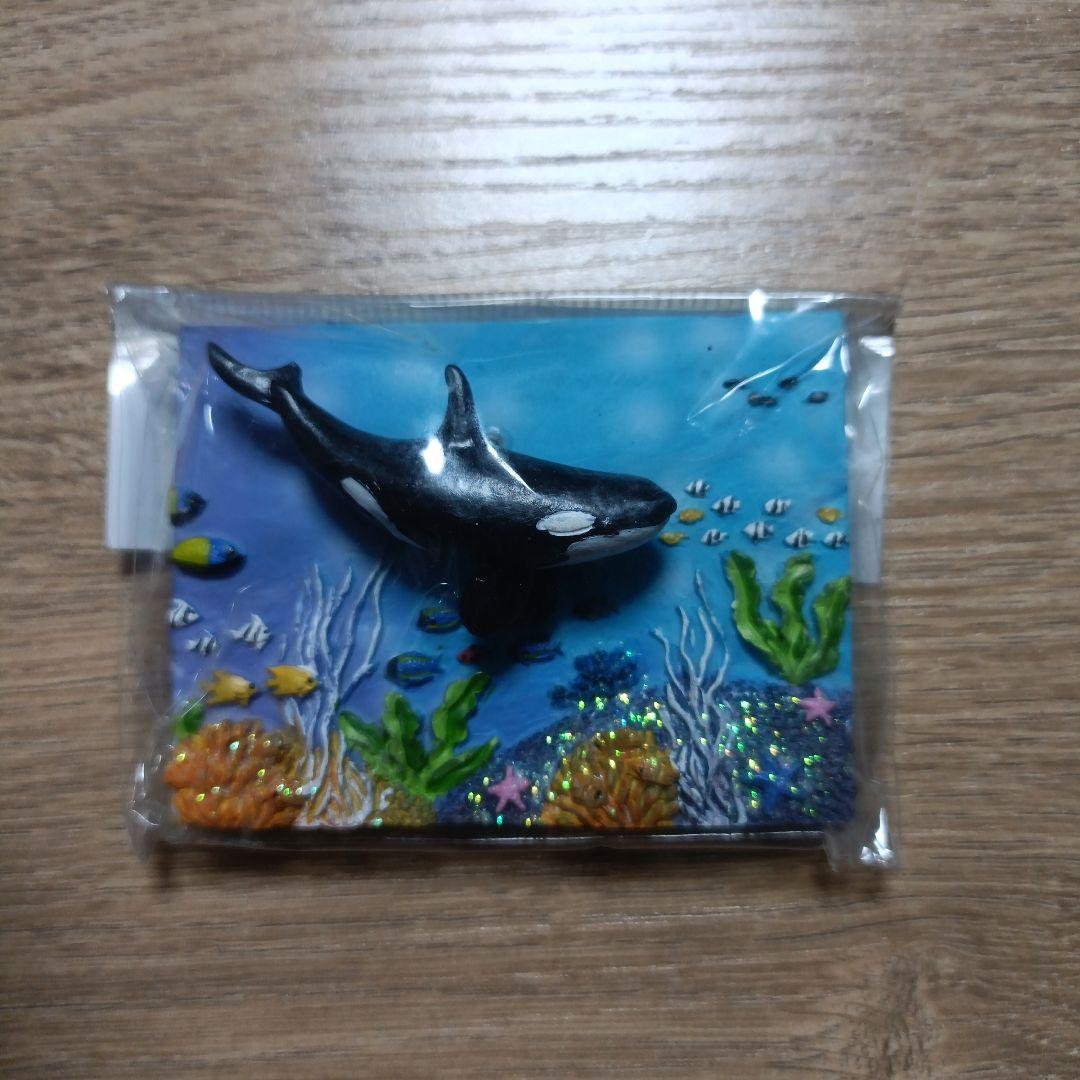 Eve様 リクエスト 2点 まとめ商品 - メルカリ