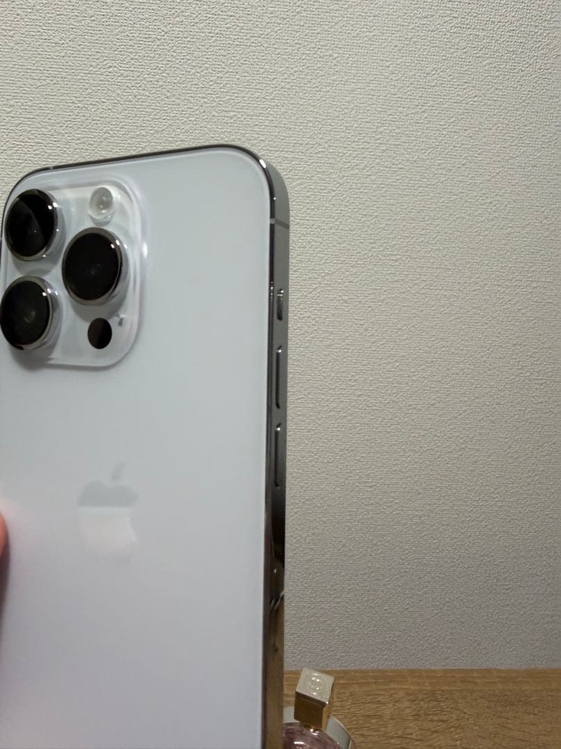 iPhone 14 Pro シルバー 本体 iPhone 14 Pro 256GB - シルバー（SIMフリー）[整備済製品] - Apple