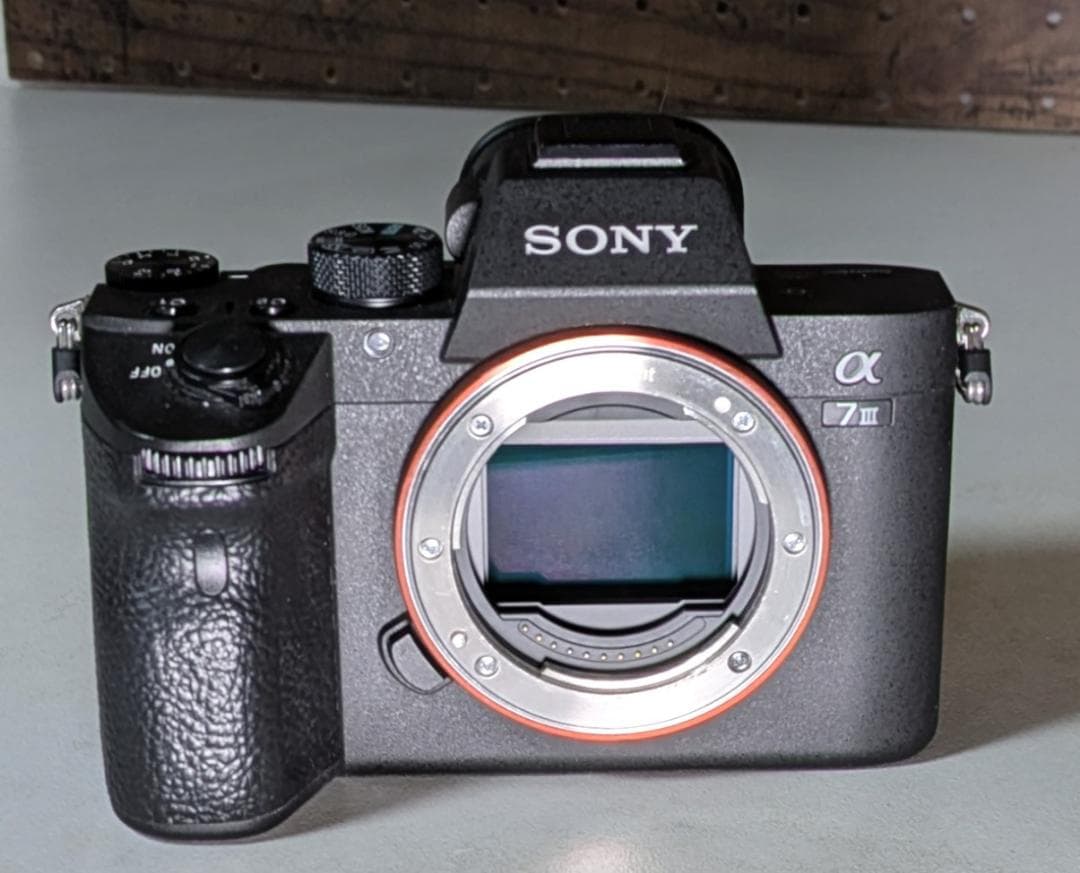 美品】シャッター11707枚 SONY α7III ILCE-7M3 ボディ - メルカリ