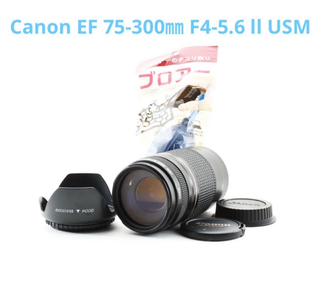 フルサイズ対応 ズCanon EF 75-300㎜ F4-5.6 ll USM Amazon | Canon キヤノン ズームレンズ EF 75-300mm F4-5.6 Ⅱ USM