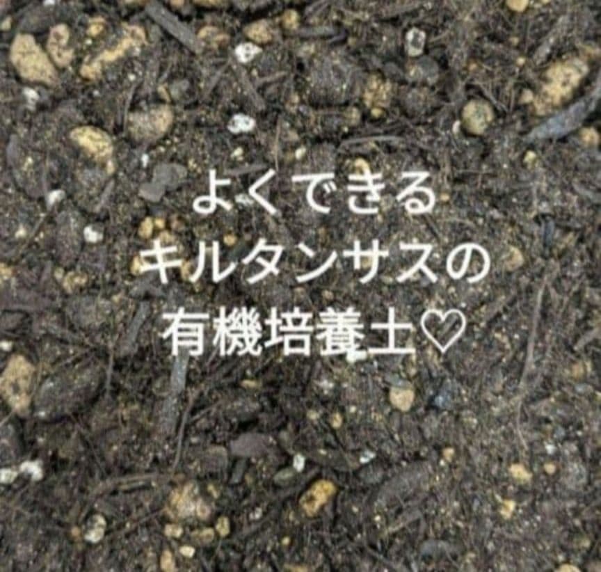 ♡べーしーる様♡