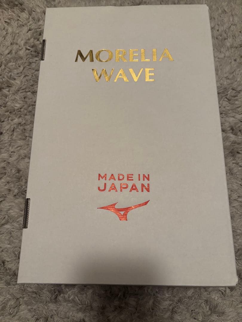 【新品未使用】ミズノ　モレリアウェーブ 27.5cm