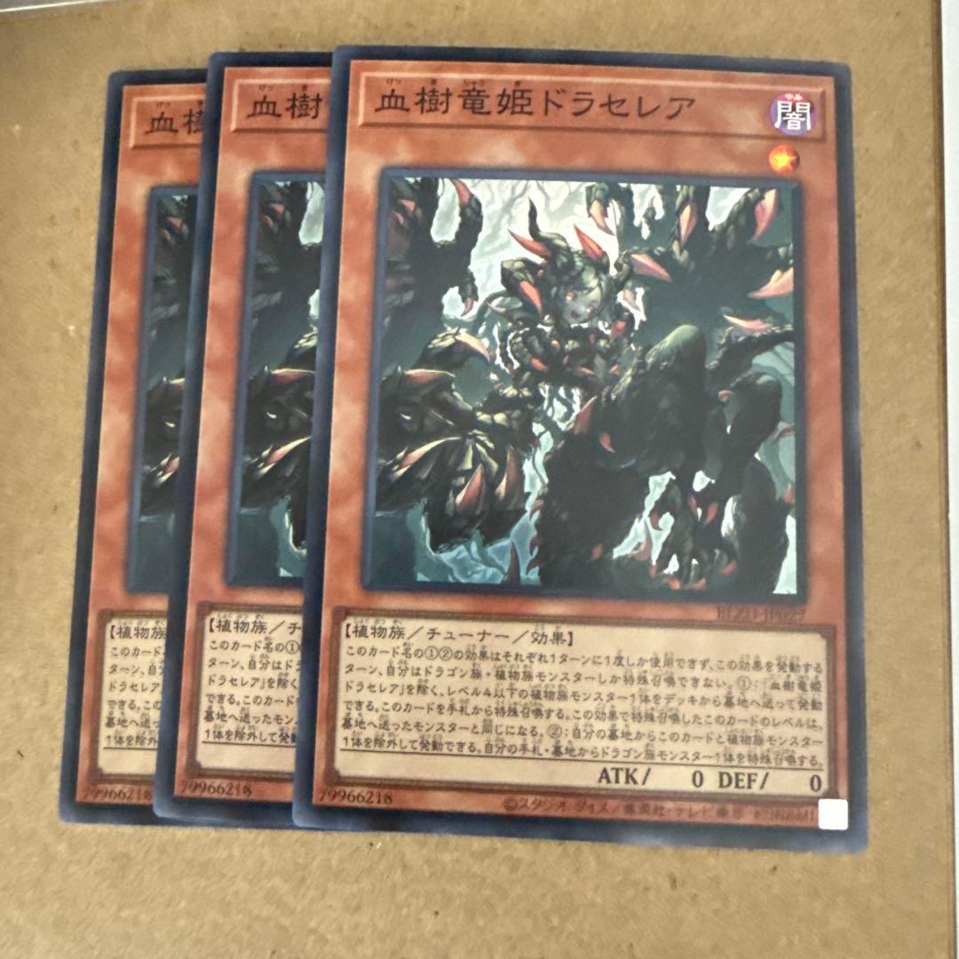遊戯王 血樹竜姫ドラセレア 3枚 - メルカリ