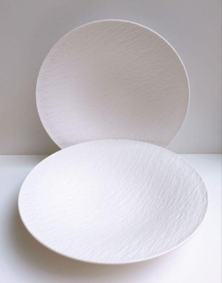 ロック ブラン ディープシャロープレート 29cm 2枚 - メルカリ