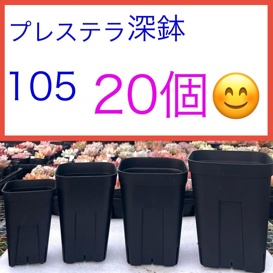 F③【プレステラ105深鉢・3号ロング鉢】ブラック20個 - メルカリ
