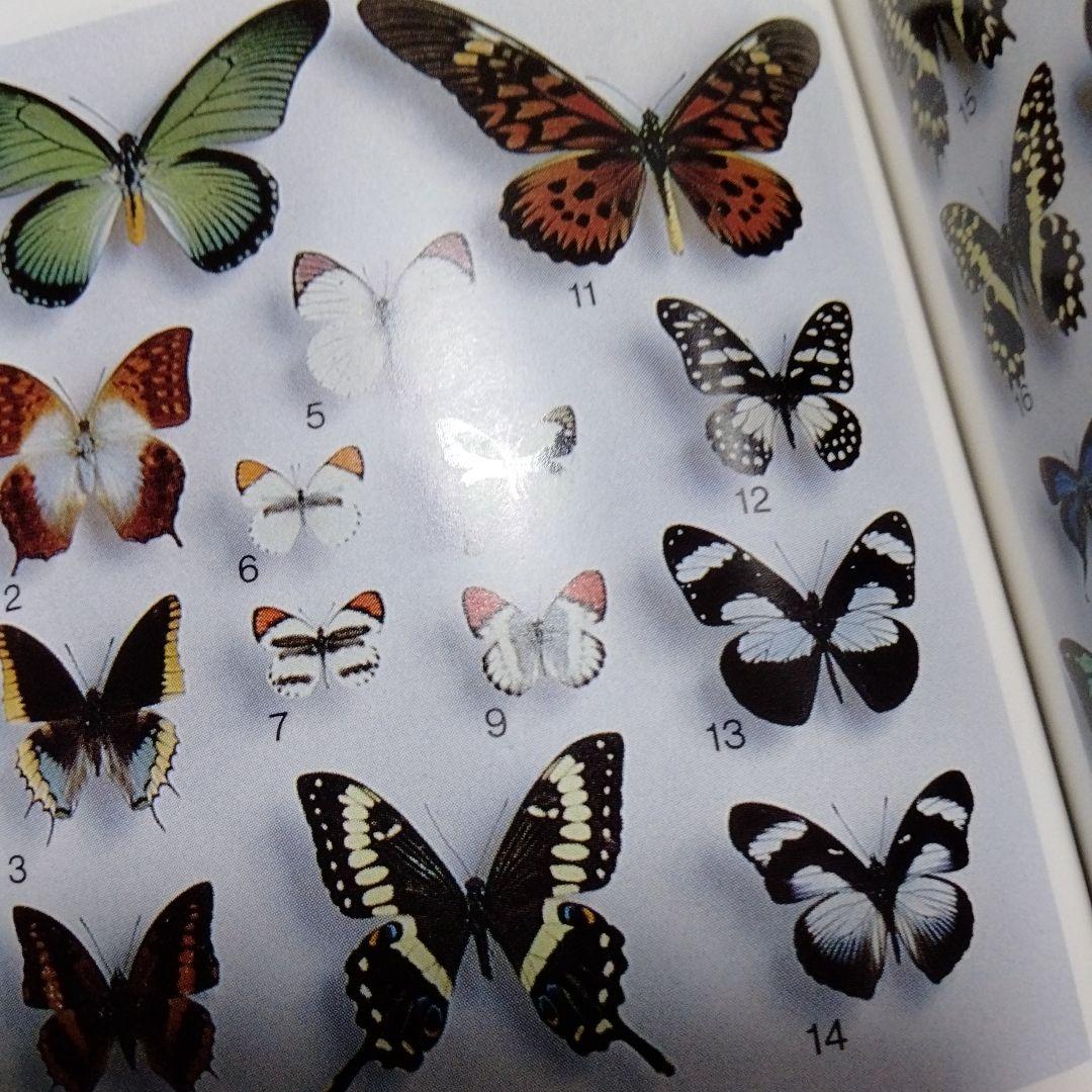 蝶の切手 文庫 カラー版 昭和 レア モルフォ ブルバタフライ