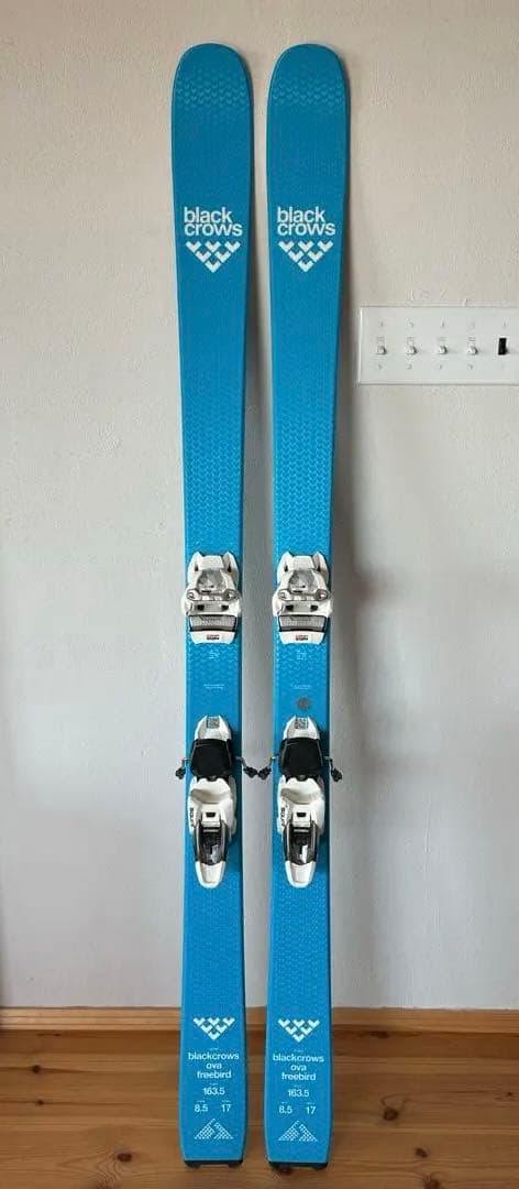 Black Crows Ova Freebird163.5cm ビンディング付 blackcrows スキー板 Camox Birdie (25-26 2026) + 26 サロモン STRIVE