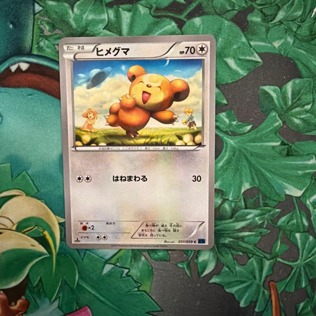 ヒメグマ XY8 - メルカリ