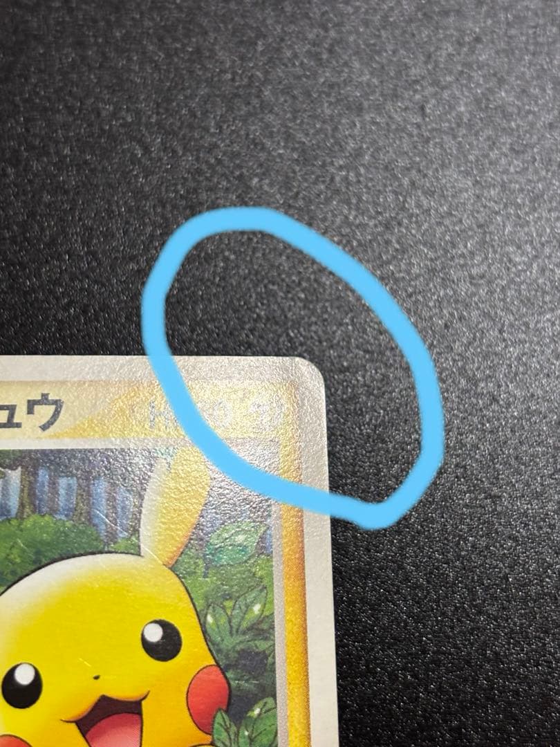 ポケパークのピカチュウ 1枚 ポケモンカード プロモーション