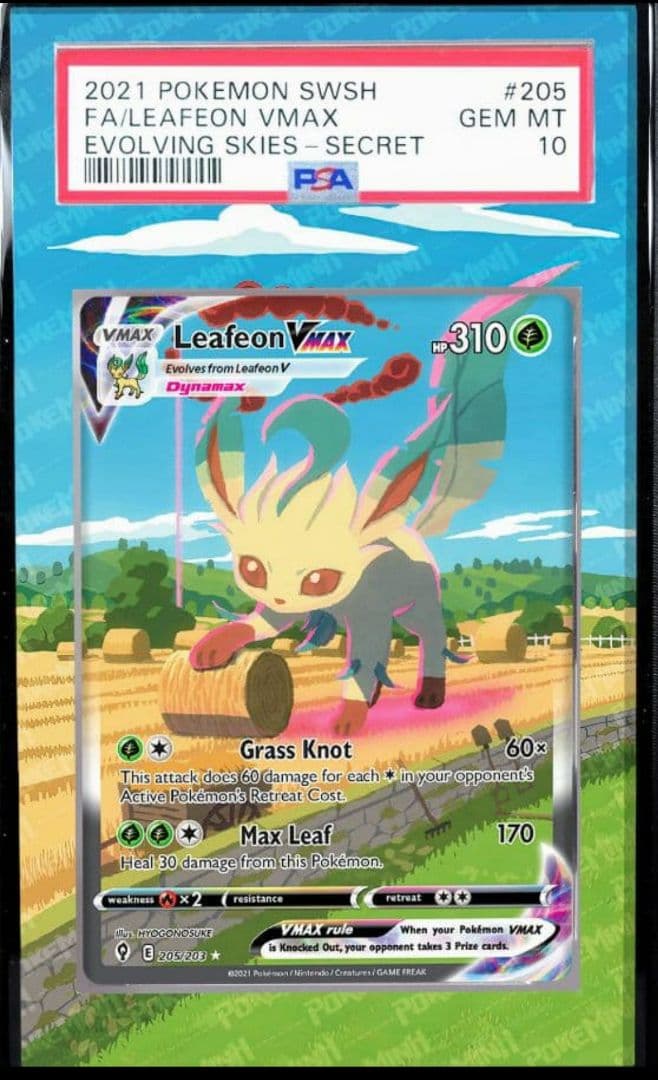 リーフィアVmax sa 用 PSA ケース ポケモンカードケース ポケカケース 51dbR1q5s-L._AC_UF350,